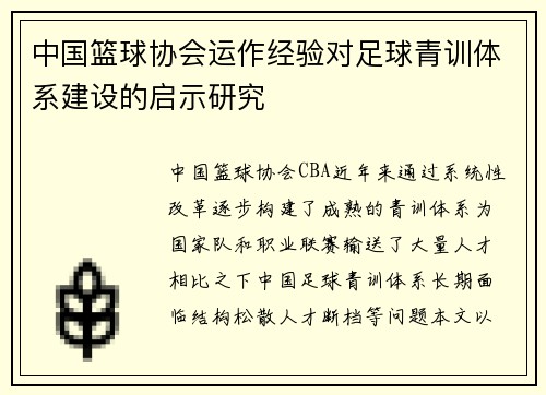 中国篮球协会运作经验对足球青训体系建设的启示研究