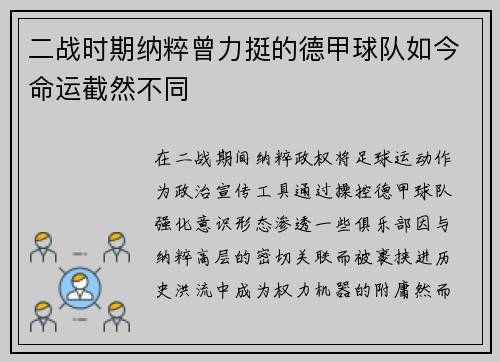 二战时期纳粹曾力挺的德甲球队如今命运截然不同