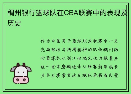 稠州银行篮球队在CBA联赛中的表现及历史