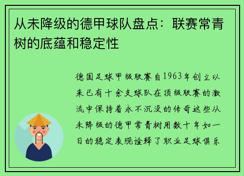 从未降级的德甲球队盘点：联赛常青树的底蕴和稳定性